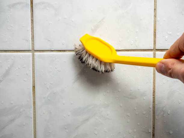 Best Home Mold Removal  in Bell Acres, PA