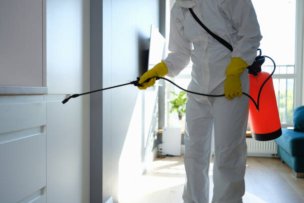 Best Mold Removal Process  in Bell Acres, PA