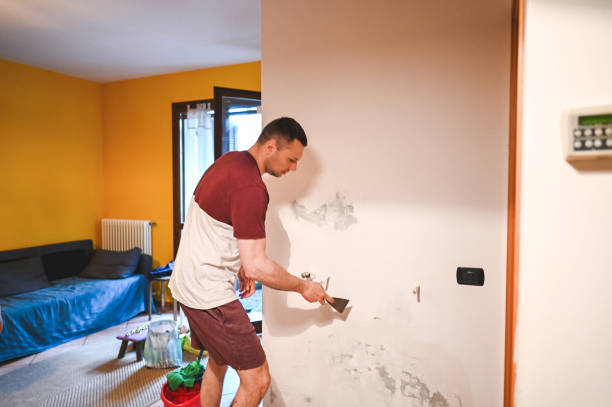 Best Same-Day Mold Removal  in Bell Acres, PA